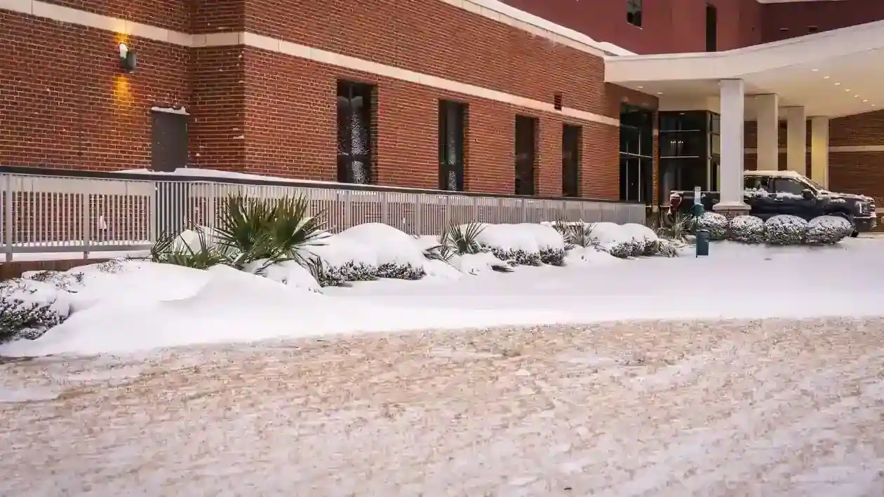 Oak Brook Business Masonry: Commercial Excellence in the Suburbs