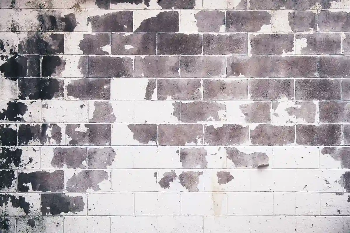 Before: Entry wall — mortar-matched joints with consistent tooling profile throughout