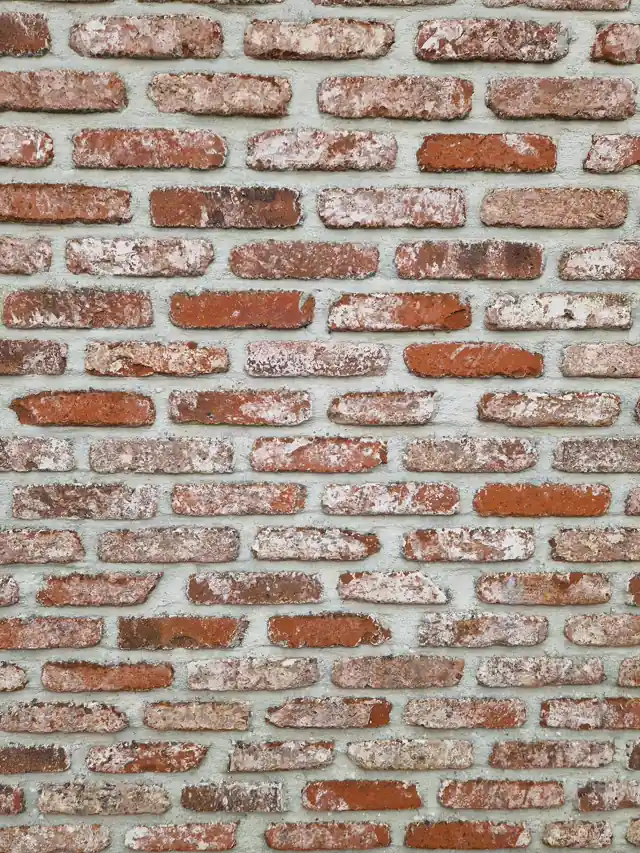 Mortar match guarantee